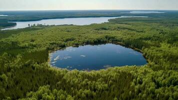 Airborne see of blue water lake and green summer woods in Finland. video