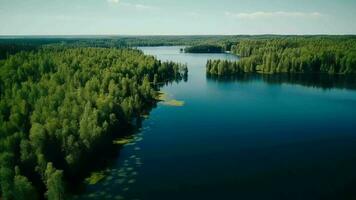 luftburet ser av blå vatten sjö och grön sommar trän i finland. video