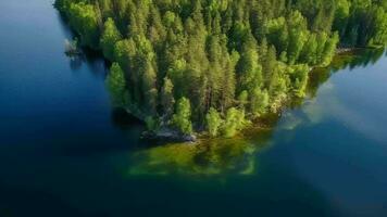 luftburet ser av blå vatten sjö och grön sommar trän i finland. video