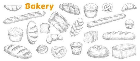 Bakery, pastry and bread sketch set vector