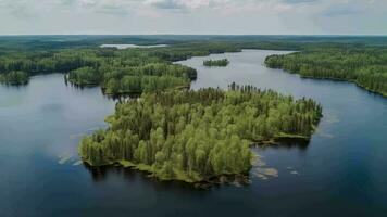 Airborne see of blue water lake and green summer woods in Finland. video