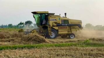 segador cortacésped mecanismo cortes trigo espiguillas agrícola cosecha obras. el segador se mueve en campo y corta maduro trigo. grande segador cosechas grano en el puesta de sol. agrícola negocio video