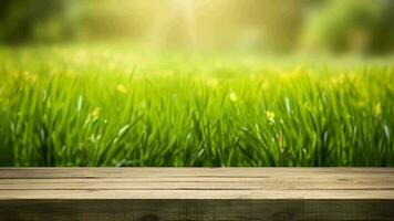 verwirrend Frühling verbreitet Einrichtung mit Grün ungebraucht herrlich erregt Gras und reinigen hölzern Tabelle im Natur Morgen öffnen sehen bei. kreativ Ressource, Video Animation