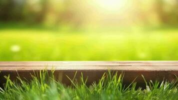 desoriënterend voorjaar gemeenschappelijk vestiging met groen ongebruikt verrukkelijk bekrachtigd gras en reinigen houten tafel in natuur ochtend- Open zien Bij. creatief hulpbron, video animatie