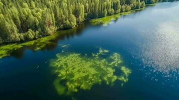 Airborne see of blue water lake and green summer woods in Finland. video