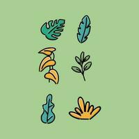 Different plant leaf flat color vector objects set. Decoration for home office. Flower in container. Variety of potted plants 2D isolated cartoon illustrations on green background