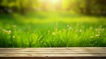 desoriënterend voorjaar gemeenschappelijk fundament met groen ongebruikt verrukkelijk bekrachtigd gras en reinigen houten tafel in natuur ochtend- Open zien Bij. creatief hulpbron, video animatie