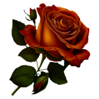 painted red rose png