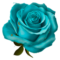 blue rose png