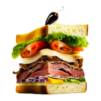 ham and chees sandwich png