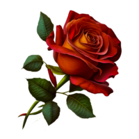 geschilderd rood roos png