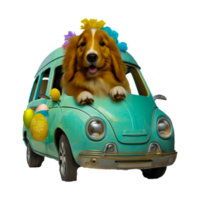 dog in the car png