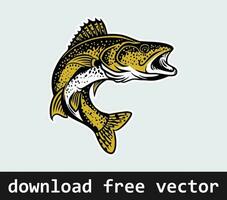 Walleye fish vector art for free download