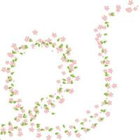 Pink Cherry blossom,Vector Illustration. Clipart of Spring background with blossoming vector