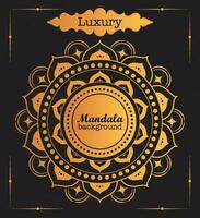 Black and gold poster luxury background vector