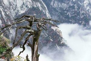 huashan montaña. el más alto de China cinco sagrado montañas, llamado el Oeste montaña, bueno conocido para escarpado caminos, asombroso acantilados y grandioso paisaje foto