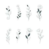 hand drawn floral vector