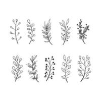 hand drawn colorless flower vector