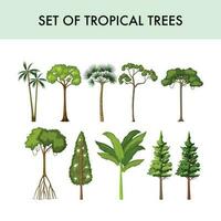 set of tropical trees vector