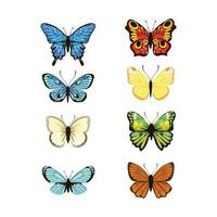 set of elegant butterflies vector