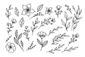 A collection of hand drawn leaves and flower decorative floral element vector