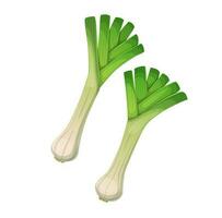 Isolated garden leek onion vegetables with leaves vector