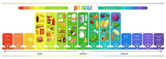 Ph scale chart, food acid balance measure meter vector