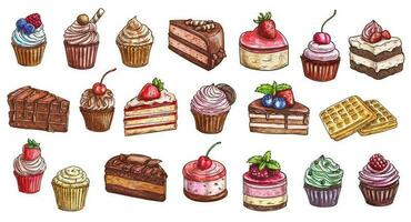 Cakes, cheesecakes, dessert sweets cupcakes sketch vector