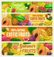 Exotic fruit or tropical berry banners vector