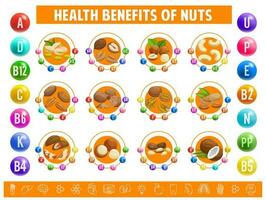 nueces gráfico mesa contenido de vitaminas y minerales vector