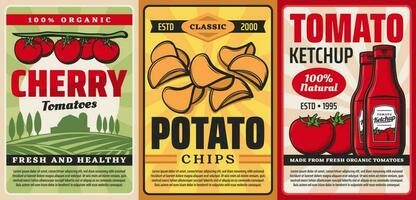 Organic farm cherry tomato ketchup, potato chips vector