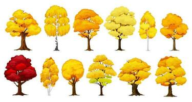 Cartoon autumn tree, fall season forest or wood vector