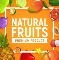 Natural fresh tropic fruits cartoon vector poster
