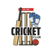 Cricket sport club and tournament equipment icon vector
