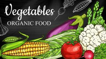 Vegetables sketch on chalkboard, farm food veggies vector