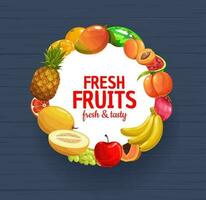 Fresh farm fruits and berries frame of garden food vector