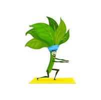 Spinach cartoon character fitness pilates sport vector