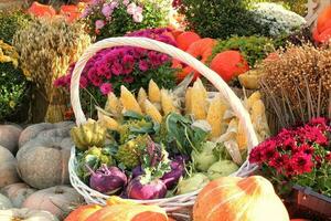 calabaza orgánica y vegetales en canasta de mimbre en feria agrícola. cosechando el concepto de tiempo de otoño. jardín otoño planta natural. decoración de halloween de acción de gracias. fondo rural de la granja festiva. comida vegana. foto