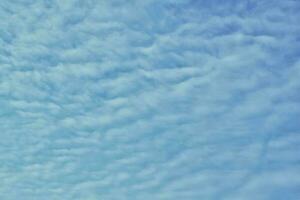 White light soft clouds floating in blue sky. Nature morning landscape background. Clear spring wind. Bright summer day. Winter calm air skyscape. Abstract panorama. Change climate. Low angle view photo