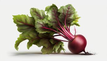 Beet on white background. photo