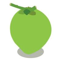 A beautiful green coconut vector art work.