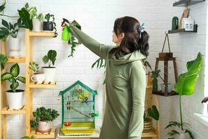 A woman sprays from a spray gun home plants from her collection, grown with love on shelves in the interior of the house. Home plant growing, green house, water balance, humidification photo