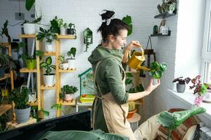 A woman waters home plants from her collection of rare species from a watering can, grown with love on shelves in the interior of the house. Home plant growing, green house, water balance photo