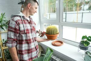 Large echinocactus Gruzoni in the hands of man in the interior near the window on the windowsill of domestic plants. Home crop production, plant breeder admiring a cactus in a pot photo