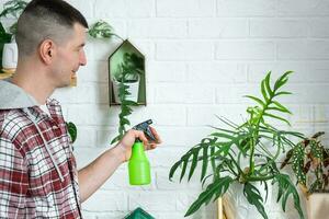 Man sprays from a spray gun home plants from her collection, grown with love on shelves in the interior of the house. Home plant growing, green house, water balance, humidification photo