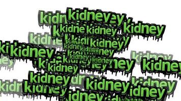 animated video scattered with the words KIDNEY on a white background