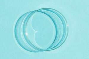 Petri dish. On a blue blue background. photo