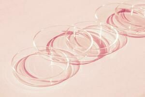 Petri dish. A set of Petri cups. A pipette, glass tube. On a pink background. photo