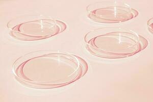 Petri dish. A set of Petri cups. A pipette, glass tube. On a pink background. photo