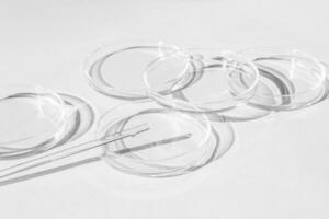 Petri dish. A set of Petri cups. On a white background. Laboratory half. photo